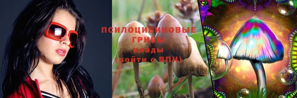 твердый Богородицк