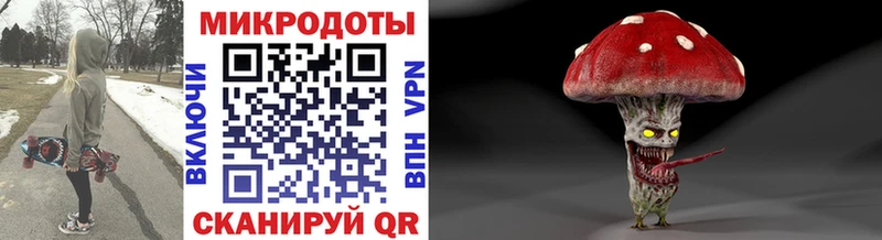 Галлюциногенные грибы мицелий  Шенкурск 